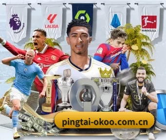 pingtai-okoo.com.cn APP